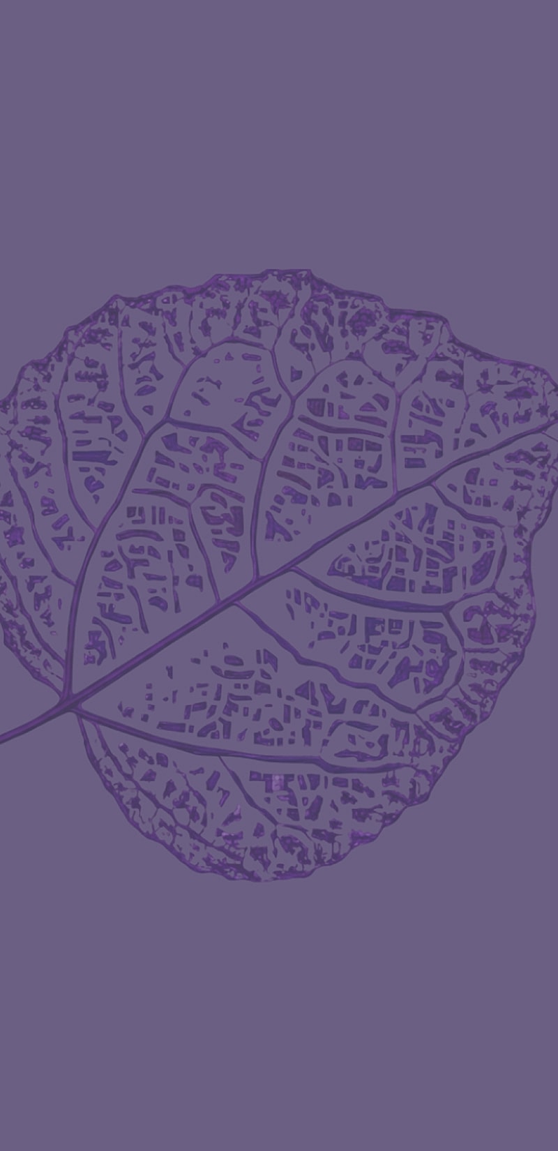 Accent Image