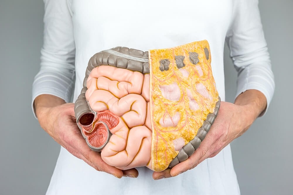 A Healthy Gut = A Smaller Gut